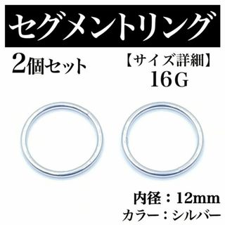 セグメントリング 16G 2本 フープピアス ボディピアス シルバー BP176