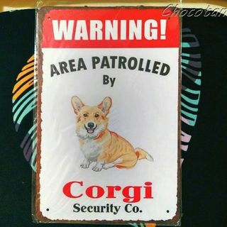 Corgi コーギー ④ 要注意 メタルサインプレート